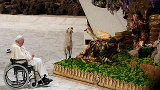 پاپ فرانسیس مشغول نظاره کردن بازسازی صحنه تولید عیسی مسیح به تاریخ ۱۹ دسامبر ۲۰۲۲. 