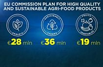 Gli investimenti dell'Unione europea per l'agricoltura sostenibile. 