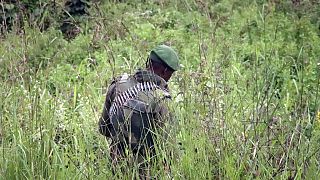 RDC : 8 militaires condamnés à mort pour meurtre et vol de munitions