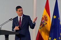Spain's Prime Minister Pedro Sanchez speaks during a news conference to give a roundup of the economic and political situation over the past year in Madrid, Spain.
