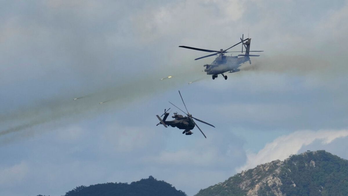 بالگردهای ارتش کره جنوبی