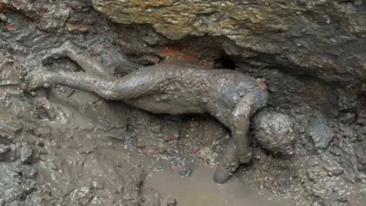 L'une des statues de bronze de plus de 2000 ans découvertes en Toscane, extraites des boues d'anciennes sources chaudes sacrées de Toscane, Italie, le 8 novembre 2022