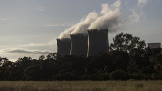 South Africa: power cuts force companies to scale back