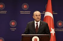 Dışişleri Bakanı Mevlüt Çavuşoğlu, basınla 2022 değerlendirme toplantısında konuştu