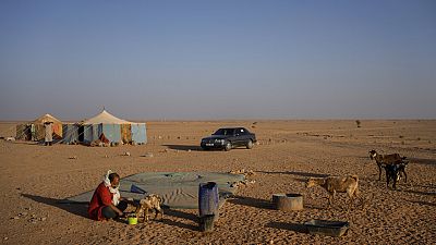 Sahara occidental : premier convoi vers des sites de la mission de l'ONU