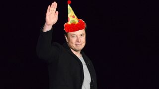 Billionaire Elon Musk, who bought Twitter earlier this year. 