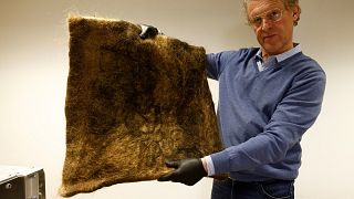 Patrick Janssen, co-founder of the organisation Dung Dung, shows a tile made from recycled human hair.