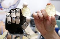 يد إنسان وروبوت يحملان حبة بطاطس مقرمشة في مختبر بمعهد تكنولوجيا في مدينة بونتيديرا، إيطاليا 