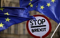Manifestants anti-Brexit à Londres, le 29 janvier 2013.