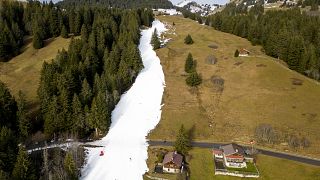 Горнолыжная трасса с искусственным покрытием посреди зеленых альпийских склонов на высоте 1600 м над уровнем моря на курорте Виллар-сюр-Оллон, Швейцария (31 декабря 2022 г.)