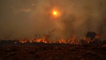 Лесные пожары, засуха, аномальное тепло: 2022 год стал самым жарким в Испании