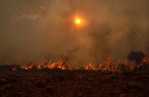 Buschbrände in Spanien im Sommer 2022