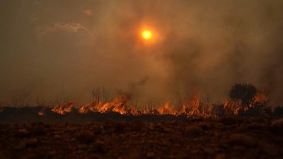 Buschbrände in Spanien im Sommer 2022