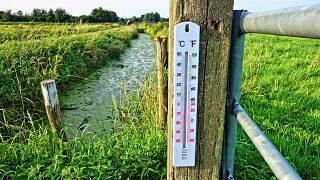 Some European countries recorded January temperatures that would normally occur in late spring.