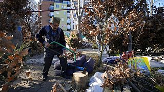 A vendor, wearing a traditional Serbian hat, prepares dried oak branches - the Yule log symbol - for the Orthodox Christmas Eve in Belgrade, Serbia, Friday, Jan. 6, 2023. 