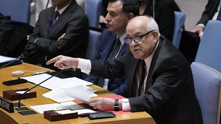 ممثل فلسطين لدى الأمم المتحدة رياض منصور، يتحدث خلال جلسة لمجلس الأمن في الأمم المتحدة 2023/01/05