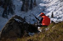 Une chasse au cerf, à Jurveille, dans les Pyrénées. Novembre 2022.
