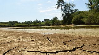 La France a connu une importante vague de chaleur et de sécheresse durant l'été 2022.