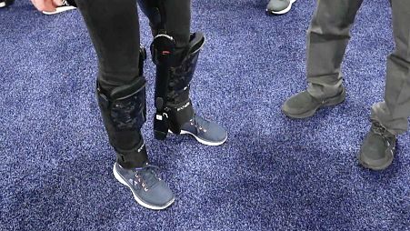 Image shows Archelis' exoskeleton.
