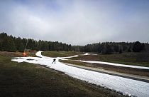 A man practices nordic skiing despite the lack of snow in La Feclaz, near Chambery, in the French Alps, Thursday, Jan. 5, 2023.