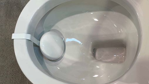 This smart toilet analyses your urine to give health advice and even help you get pregnant -- article with video