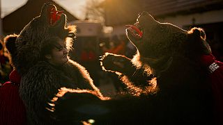People wearing bear fur costumes prepare to take part in a parade showcasing regional winter traditions in Comanesti, northeastern Romania, Friday, Dec. 30, 2022.