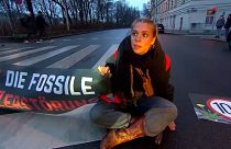 Klimaaktivistin protestiert in Wien