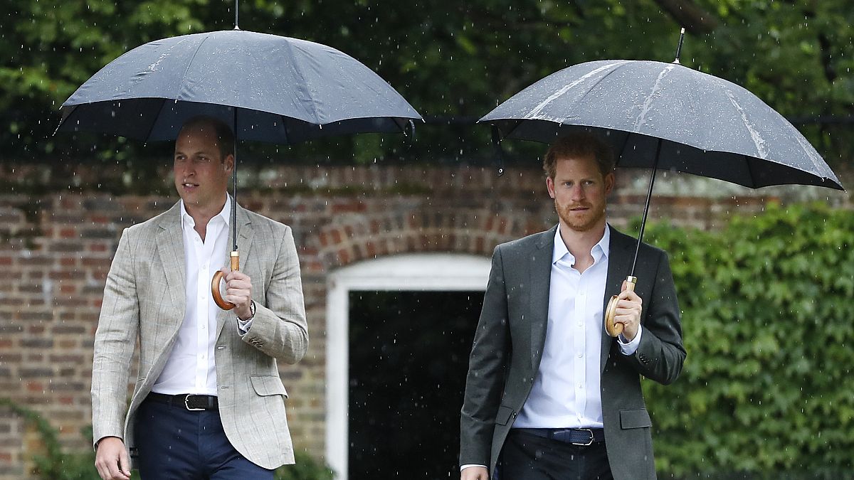 In Prince Harry's new memoir, he claims he and his brother Prince William had a physical altercation.