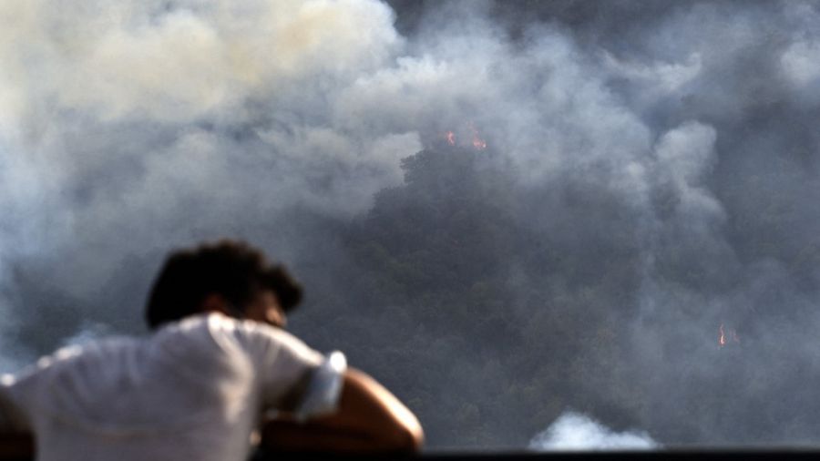 Algérie: les toxicomanes se défonceraient à la poudre de cafard