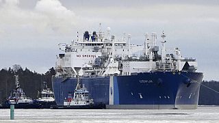 فنلاند به جای گاز طبیعی روسیه گاز مایع وارد می کند