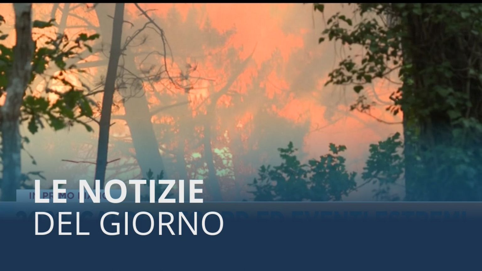 Le notizie del giorno | 11 gennaio - Mattino