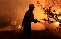 Incêndio florestal em Gouveia, na Serra da Estrela, em agosto do ano passado