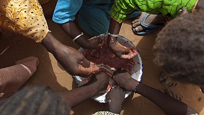 L'ONU s'inquiète de l'aggravation de l'insécurité alimentaire au Sahel