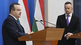 El ministro de Asuntos Exteriores de Serbia, Ivica Dacic, y el ministro húngaro de Asuntos Exteriores y Comercio, Peter Szijjarto, en Budapest, Hungría, 10/1/2023
