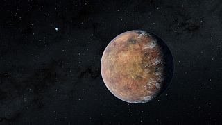 An artist's depiction of TOI 700 e, an Earth-size planet in its star's habitable zone