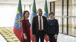 Tigray: French and German heads of diplomacy in Ethiopia to support peace 			