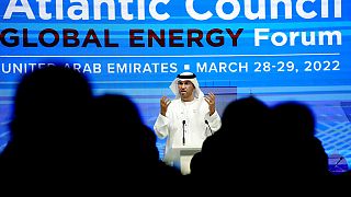 Sultan Ahmed Al Jaber bei einer Konferenz in Dubai im vergangenen Jahr.