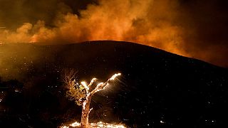 Incendio boschivo a Hemet, California, settembre 2022