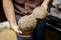 Multiple eggs were scanned in the hope of finding a dinosaur embryo