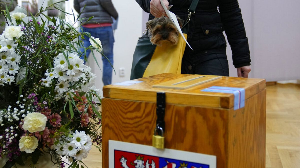 Çekya'da cumhurbaşkanlığı seçiminde oy verme işlemi başladı. Pruhonice'de köpeğiyle birlikte oy vermeye gelen bir kadın