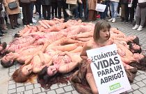 نشطاء الدفاع عن حقوق الحيوان يحتجون في مدريد.
