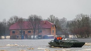 Soldiers on a military amphibia make their way through flooded areas in Jekabpils on January 15, 2023. 