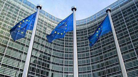A draft European Commission proposal intends to clamp down on greenwashing by imposing reporting requirements on companies.