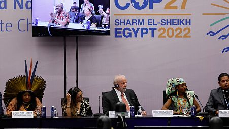 President-elect of Brazil Luiz Inacio Lula da Silva attends a meeting at COP27 climate summit.