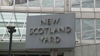Serial rapist case is another blow to the Metropolitan Police's image.
