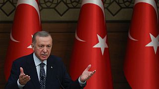 Erdogan delivers a speech at the International Ombudsman Conference at the presidential complex in Ankara, Turkey, on January 11, 2023