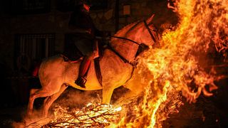 Задача наездника — заставить лошадь преодолеть естественный страх перед огнём