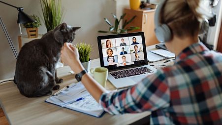 The Netherlands leads the way for working from home in Europe
