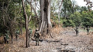 Sénégal : un soldat tué par des rebelles en Casamance