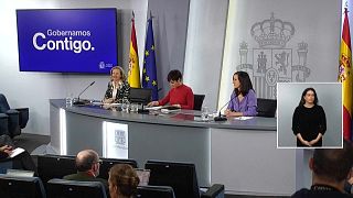 El gobierno español ratificó en la rueda de prensa tras el Consejo de Ministros su disposición a defender el derecho al aborto